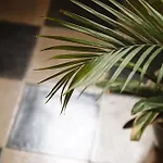 Calmapianta For Lovers *