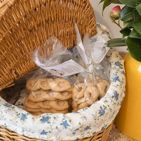 Calmapianta For Lovers *