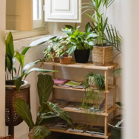 Calmapianta For Lovers Apartment *